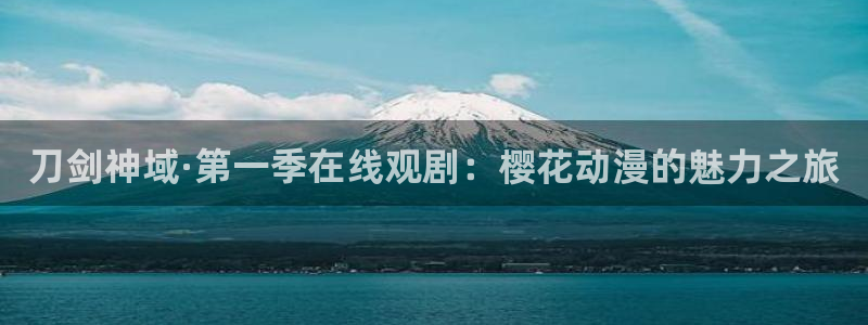 看动画画面抖动